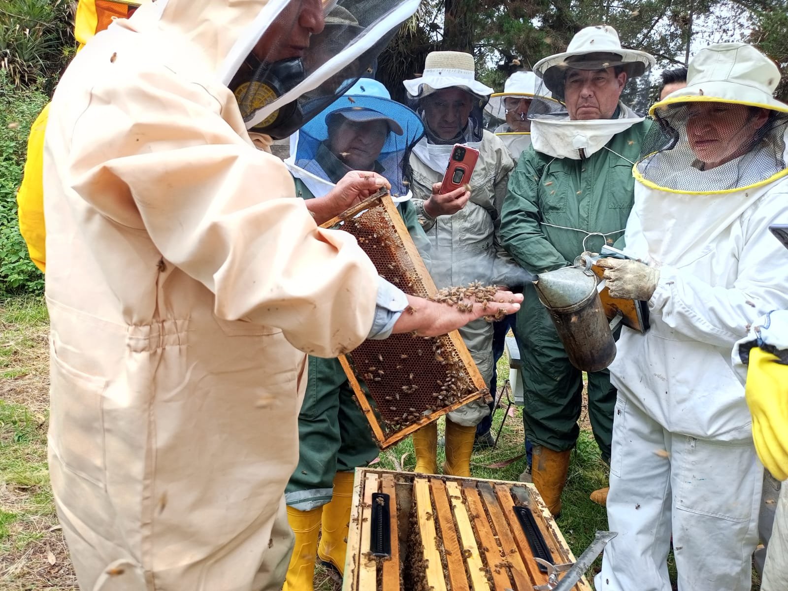 Foto: socios de la asociación trabajando en el apiario